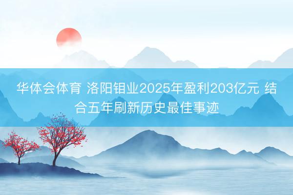 华体会体育 洛阳钼业2025年盈利203亿元 结合五年刷新历史最佳事迹